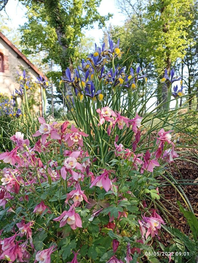 Villa The Cosy Retreat Mornay-sur-Allier Exterior foto